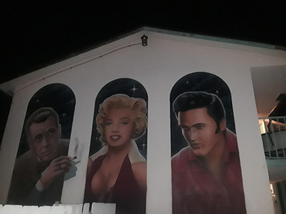 New Sungate Motel photo 4