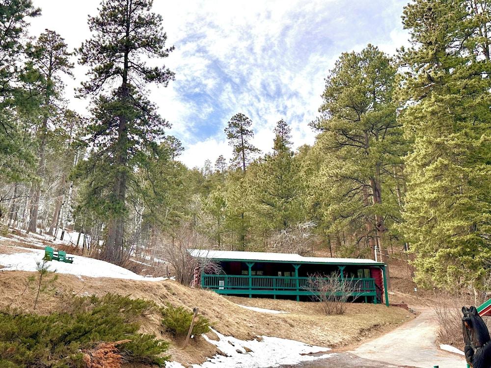 Ponderosa Pines photo 47