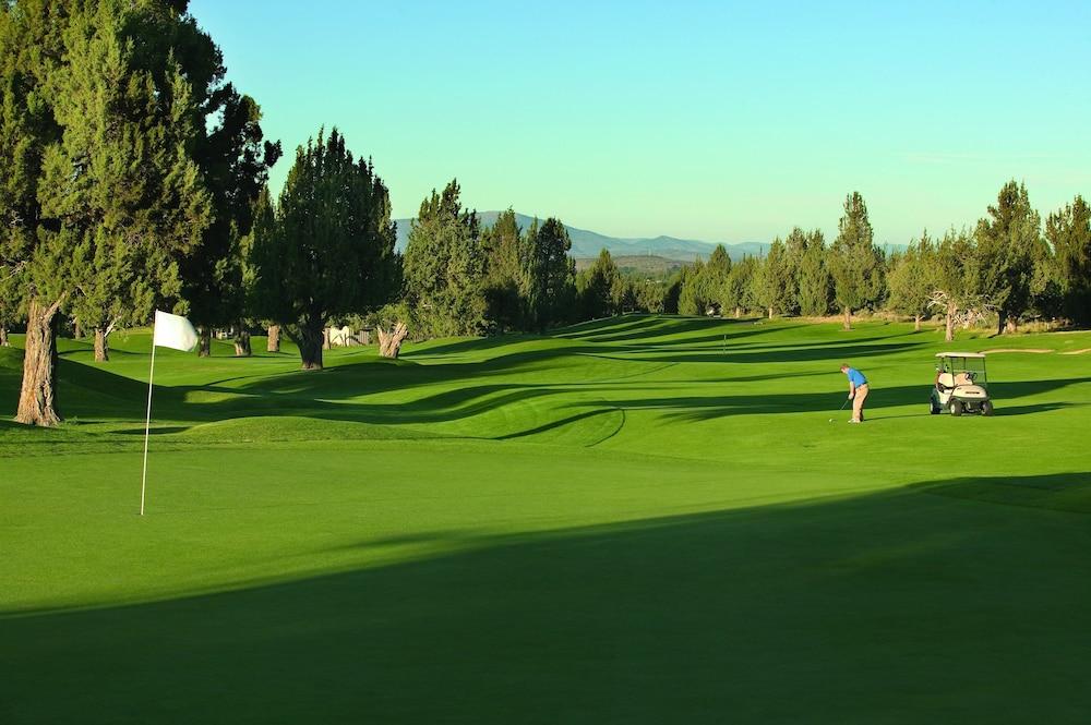 WorldMark Eagle Crest photo 29