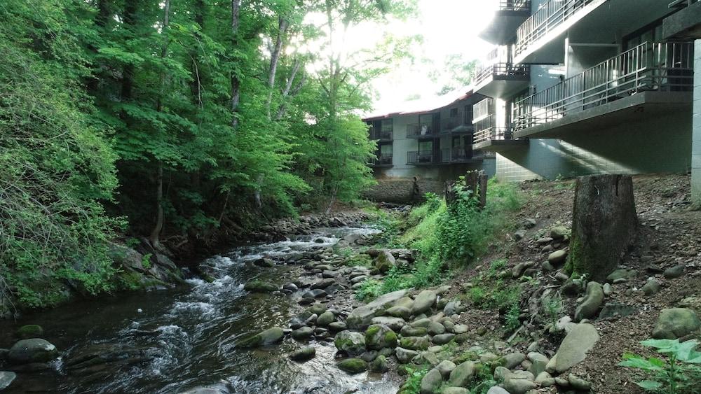 Bear Creek Inn photo 35