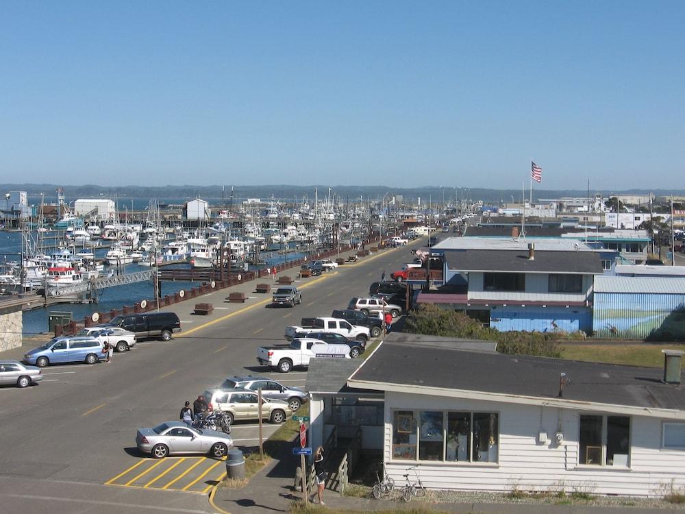 Islander Westport photo 28