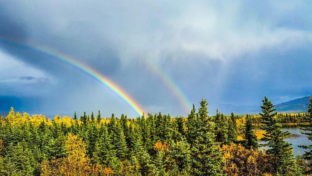 Denali Lakeview Inn photo 4