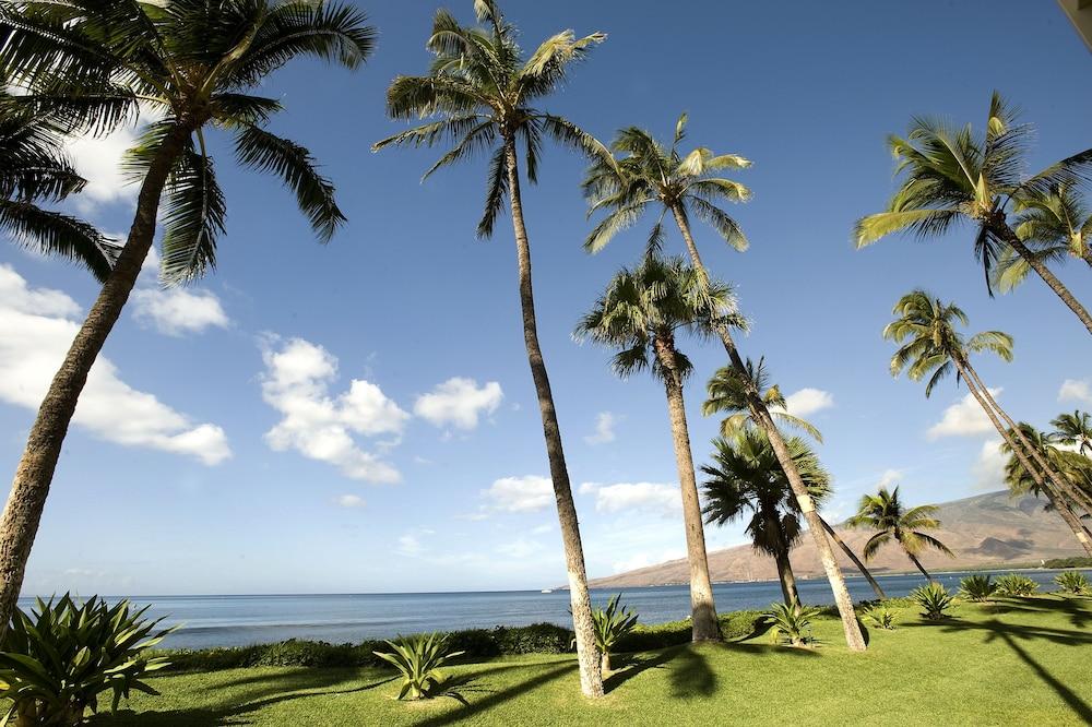 Sugar Beach Resort photo 41