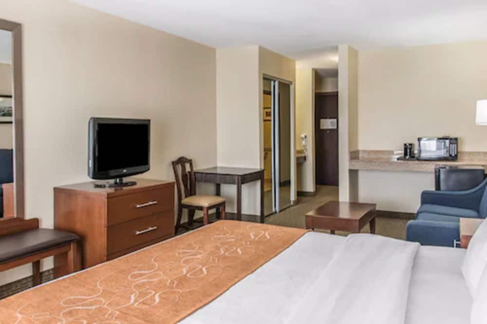 Comfort Suites Wixom - Novi photo 25