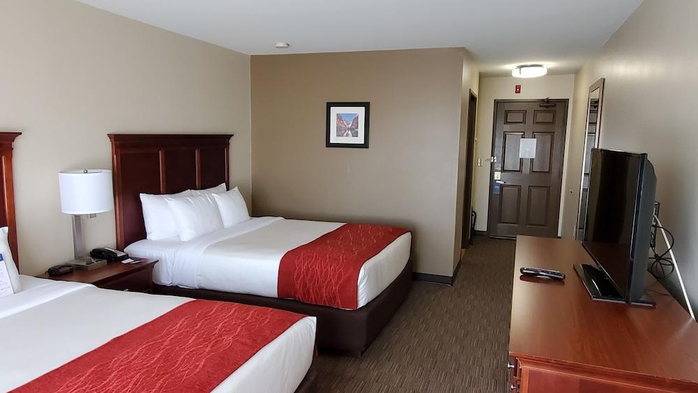 City Express by Marriott Tempe photo 12