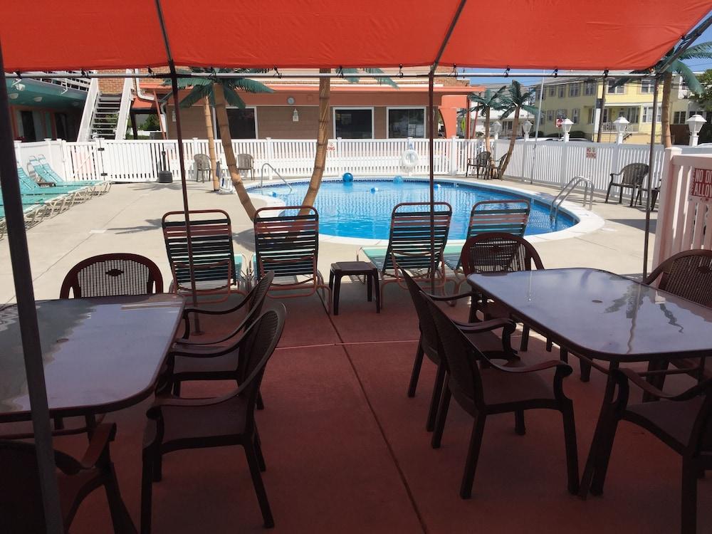 Dolphin Inn photo 24