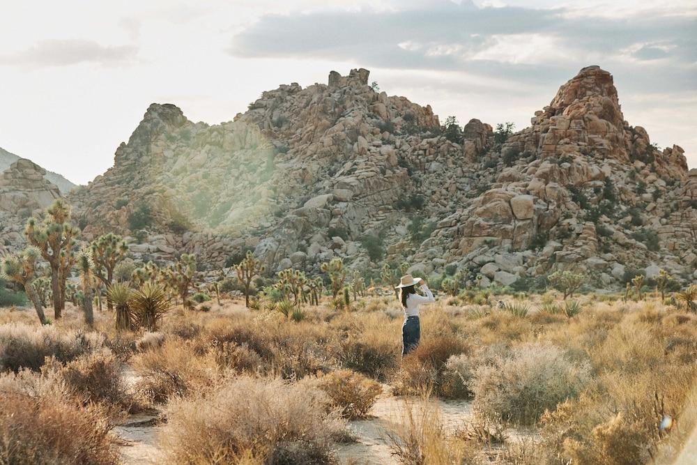 Field Station Joshua Tree photo 30