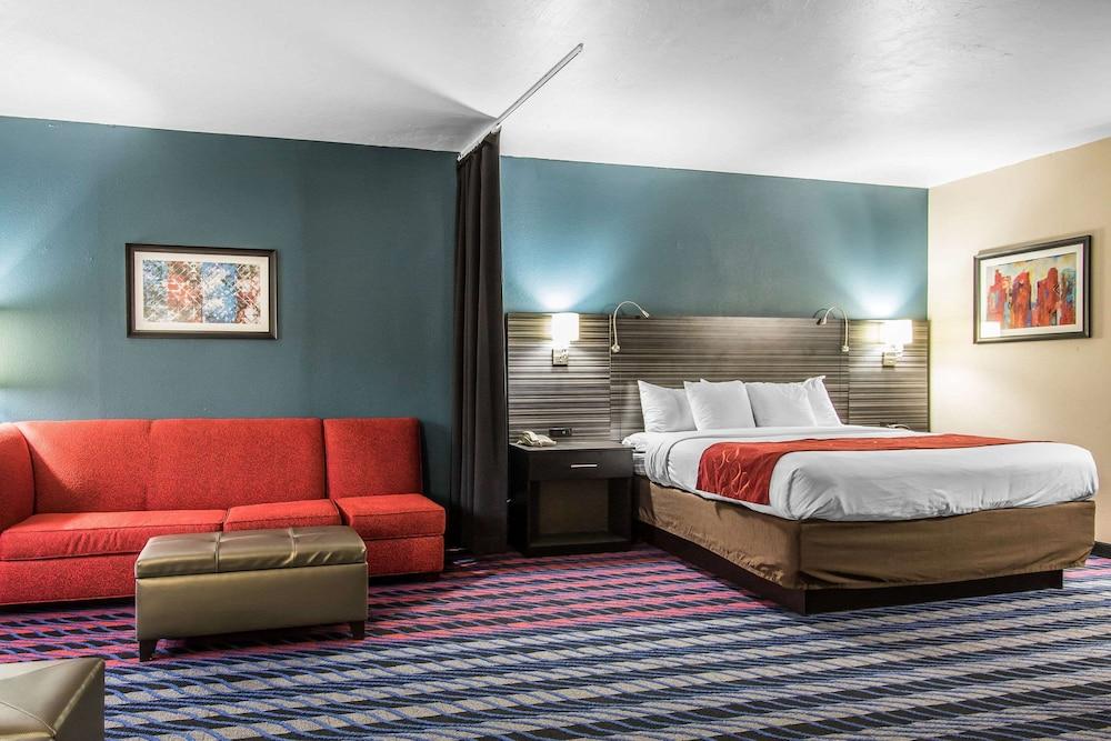 Comfort Suites Fairgrounds West photo 43
