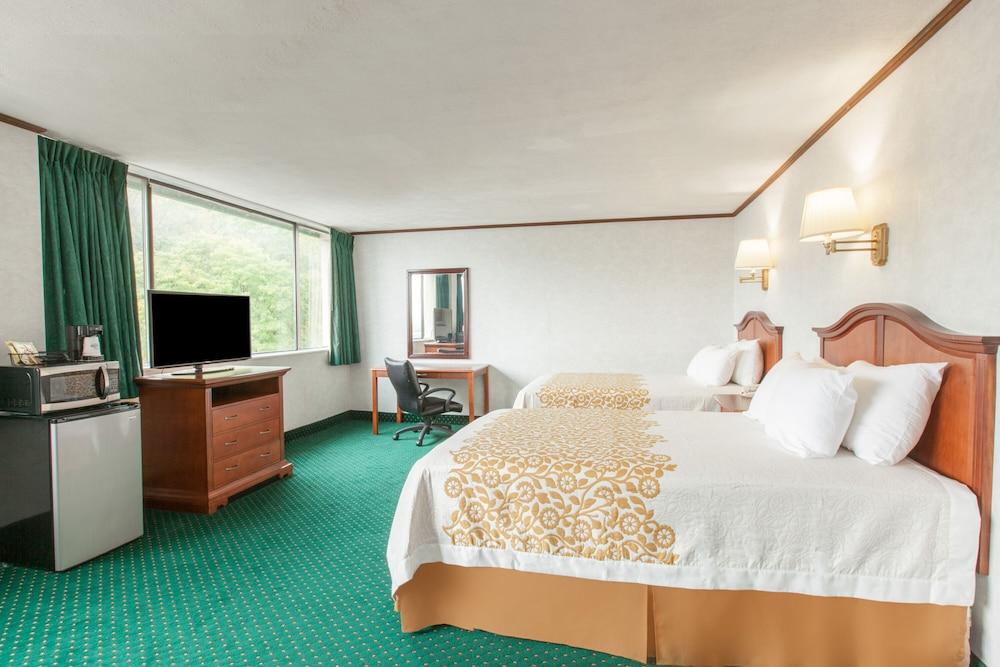 Schenectady Inn & Suites photo 10