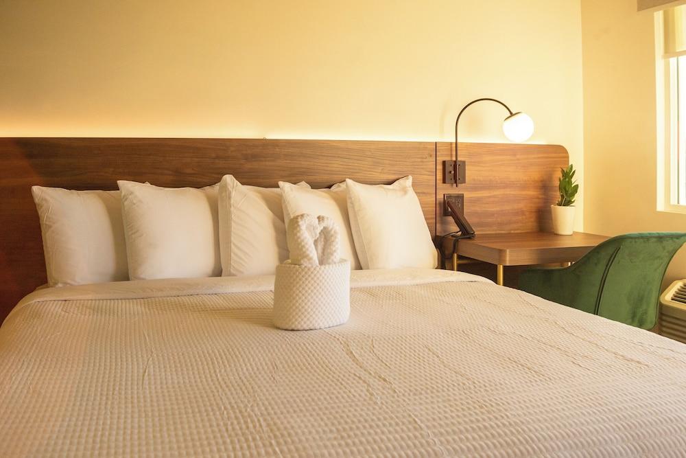 The Alice Hotel photo 42