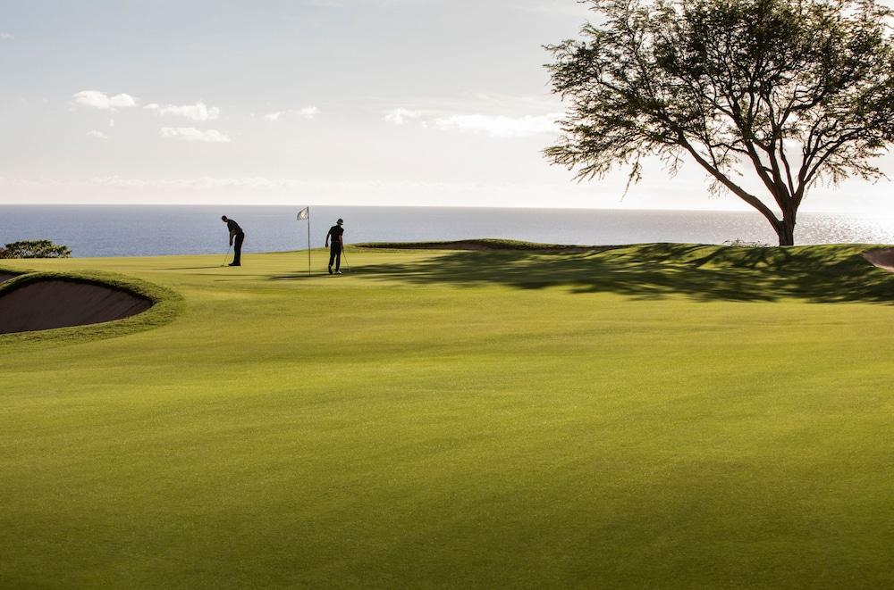 Four Seasons Resort Lanai photo 76