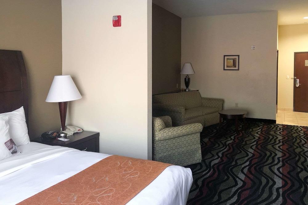 Comfort Suites Beaumont I-10 photo 4