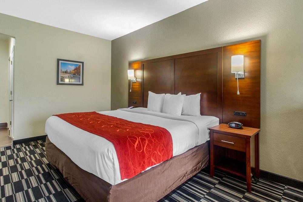 Comfort Suites Danville photo 9