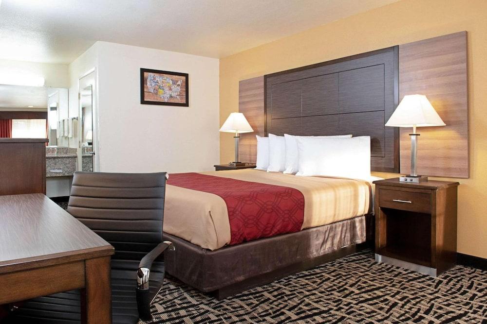 Executive Inn photo 16