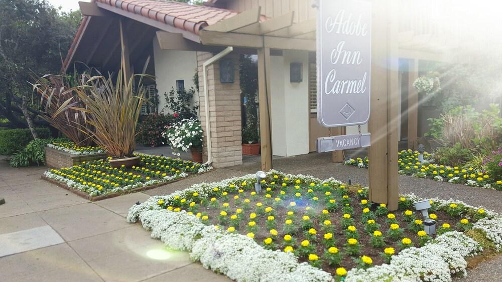 Adobe Inn photo 1