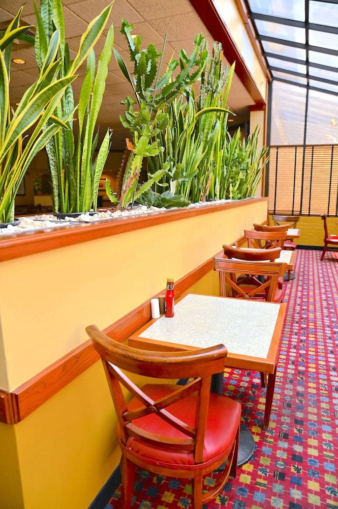 MCM Eleganté Hotel & Suites photo 38