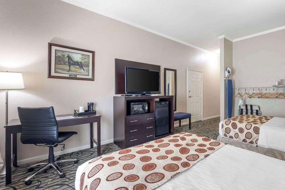 Best Western Spring Hill Inn & Suites photo 13