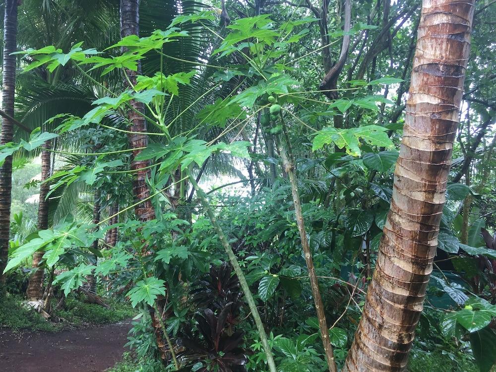 Cinderland EcoVillage - Hostel photo 9