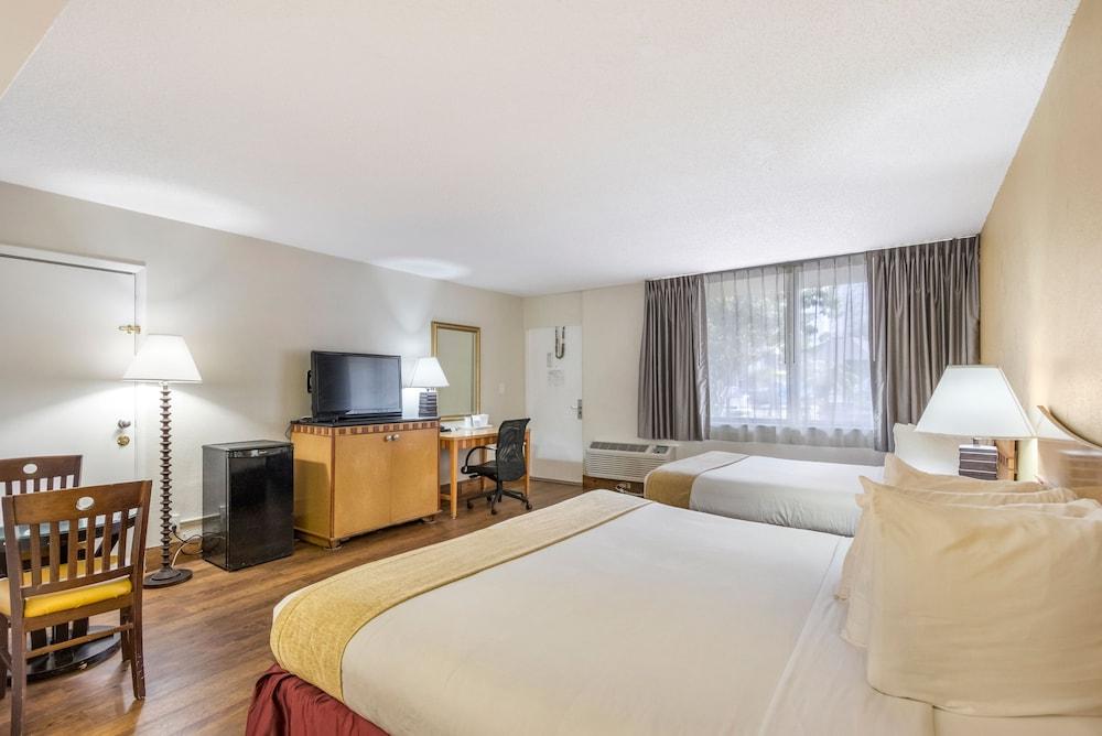 Ocean Reef Hotel photo 8