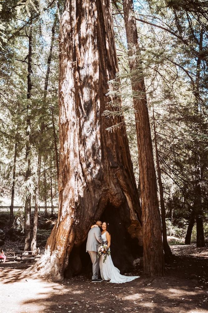 Redwoods River Resort photo 72