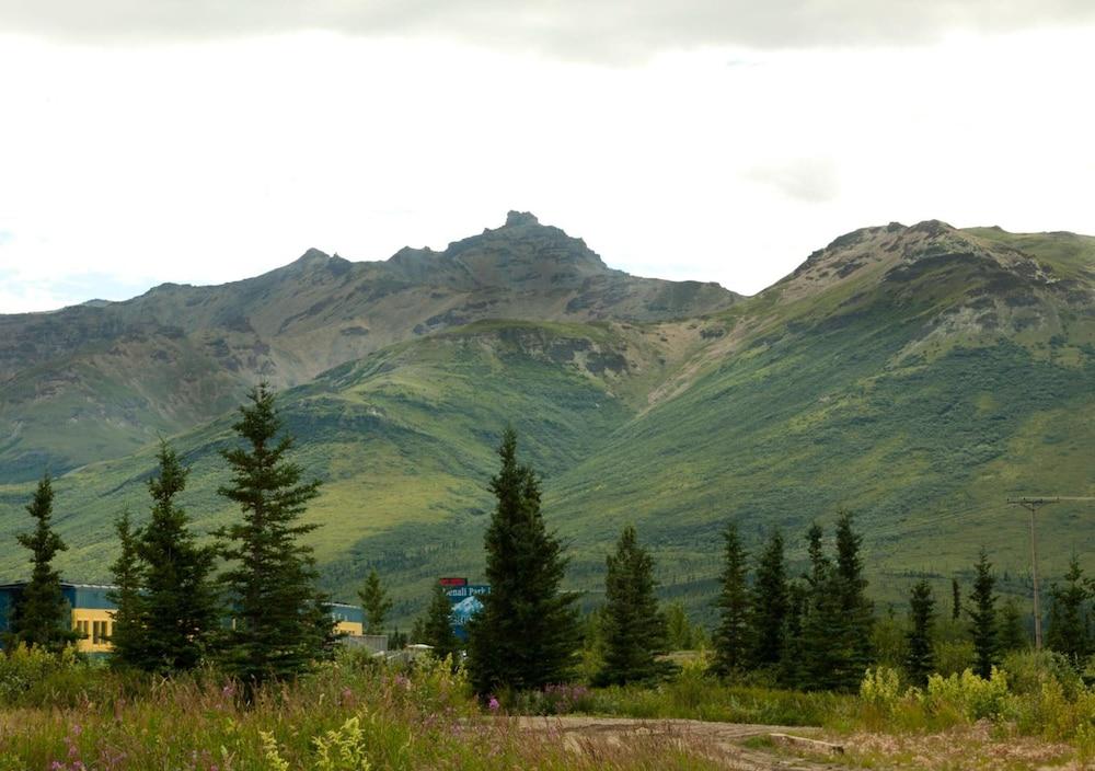 Denali Park Hotel photo 36