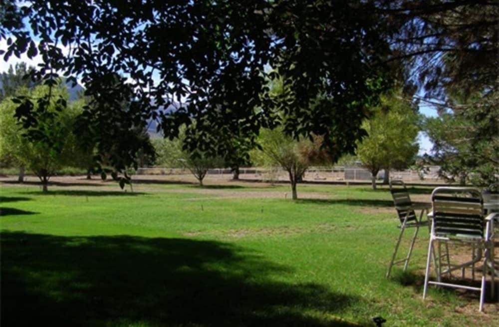 Tavares Inn photo 14