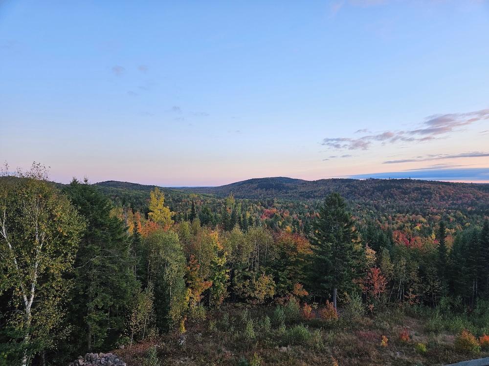 Bear Mountain Lodge photo 2