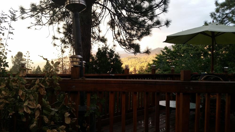 Pine Rose Inn photo 22