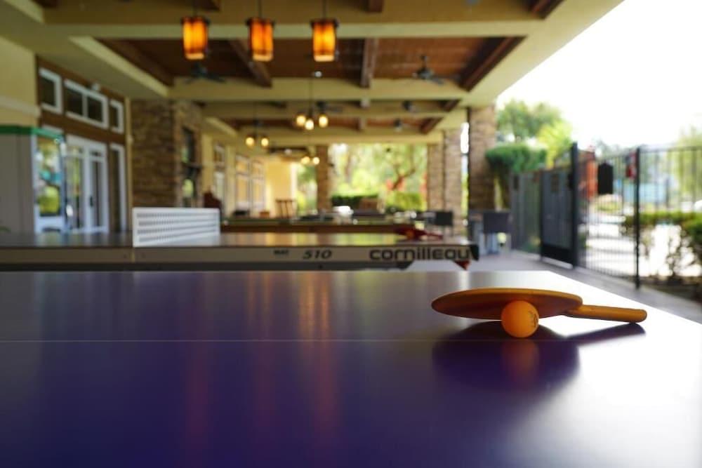 Welks Mountain Villas photo 10