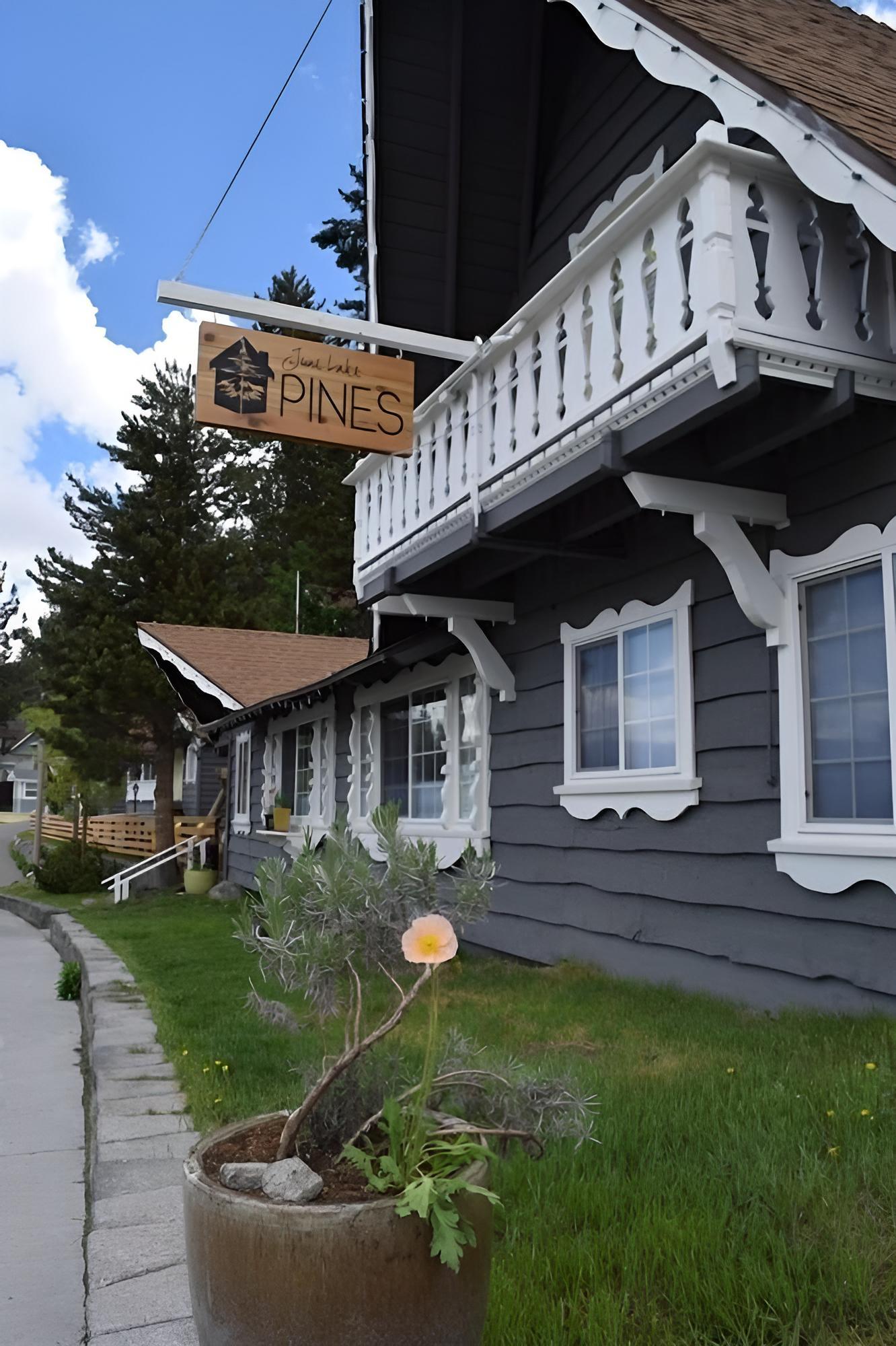June Lake Pines photo 3