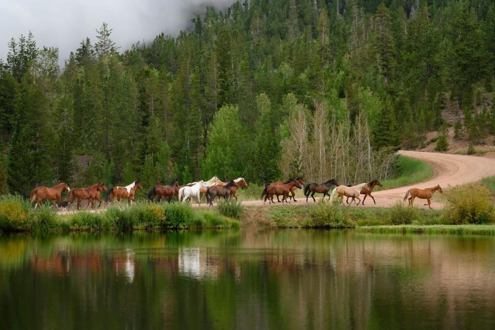 Beaver Meadows Resort Ranch photo 23