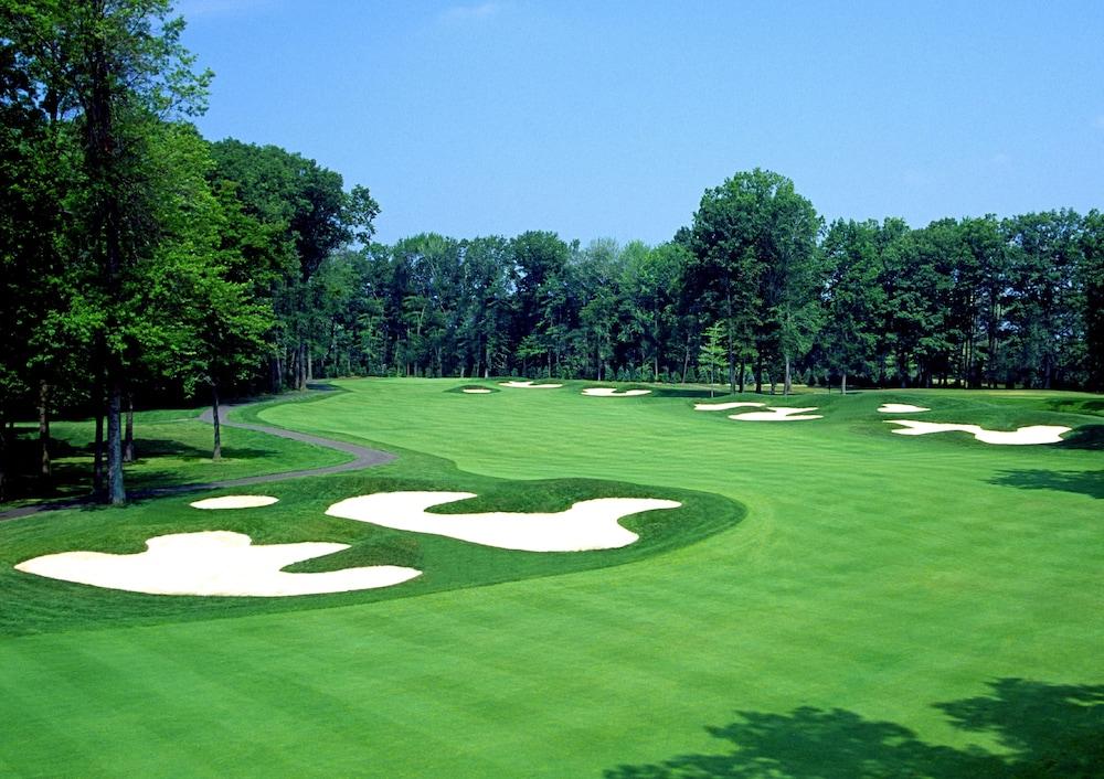 The Grand Resort photo 92