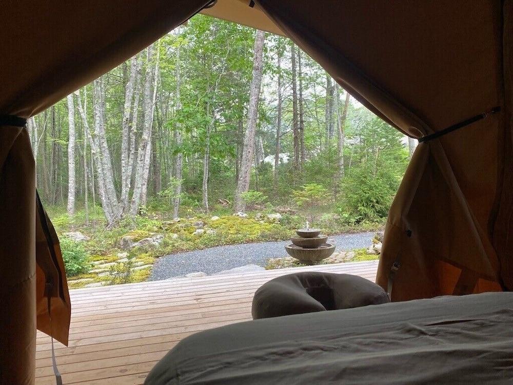 Terramor Outdoor Resort photo 19
