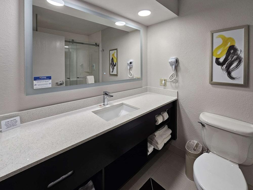 Comfort Inn & Suites Saint Louis Lafayette Square photo 6