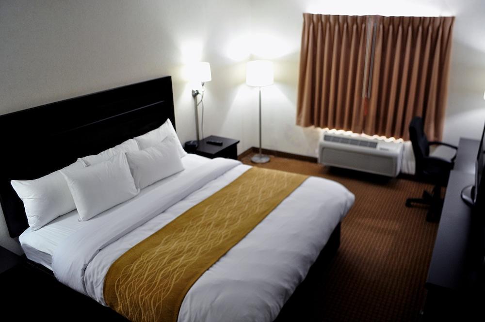 Holiday Inn Express & Suites Pittsfield - Berkshires by IHG photo 51