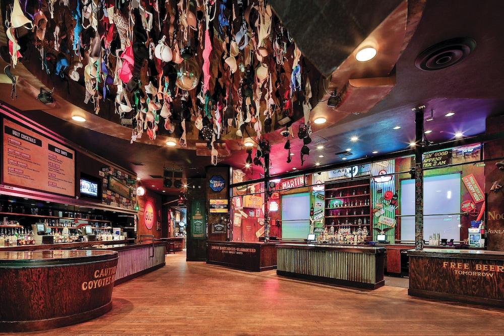 New York-New York Hotel & Casino photo 58