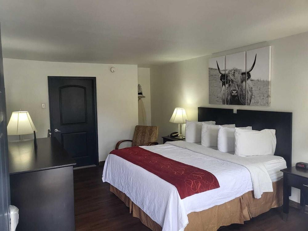 Pine Tree Inn photo 26