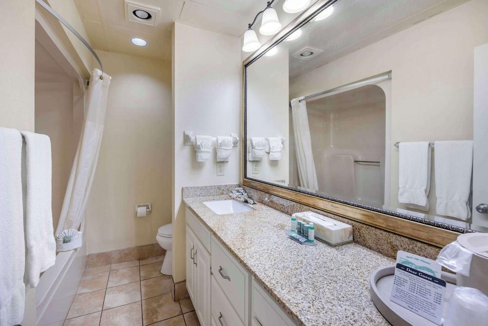 Best Western Spring Hill Inn & Suites photo 20