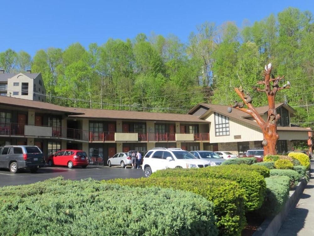 Mountain House Inn photo 49