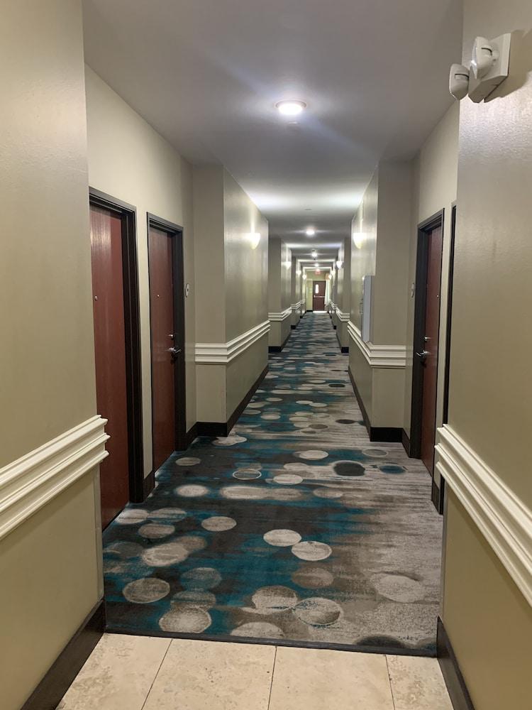 Rodeway Inn & Suites Winnfield photo 2