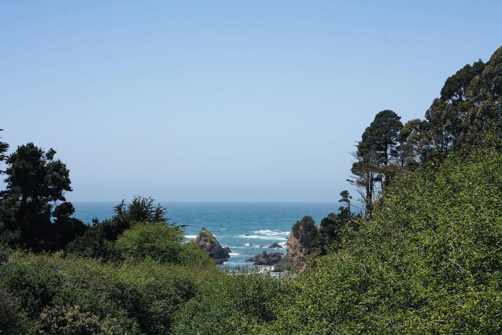Mendocino Cove photo 14