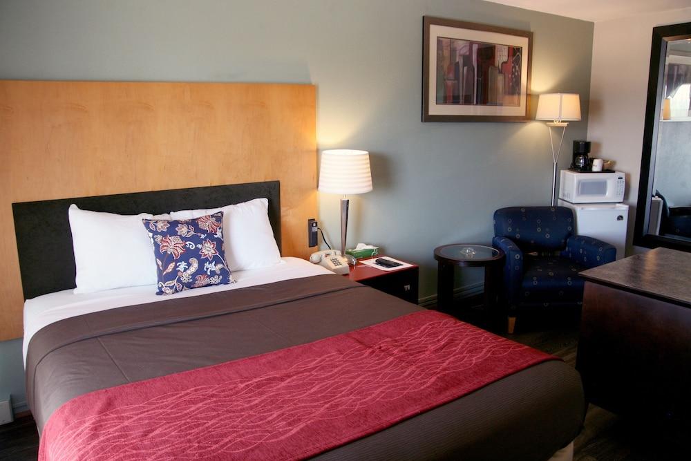 South T Motel photo 31