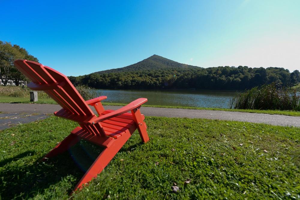 Peaks of Otter Lodge photo 30
