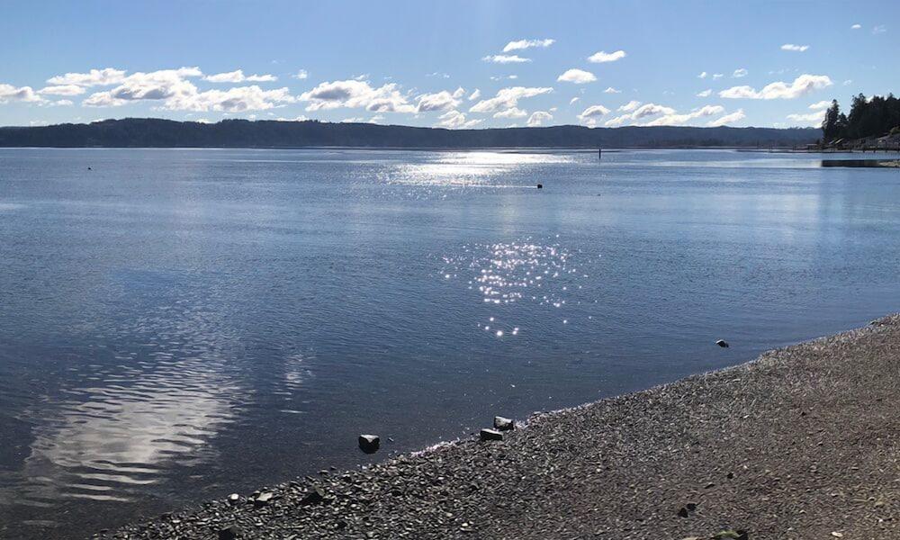 Watefront at Potlatch photo 17
