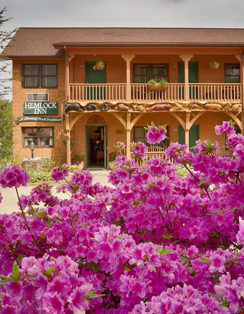 Hemlock Inn photo 15
