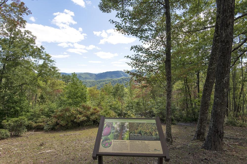 Pine Mountain State Resort Park photo 59