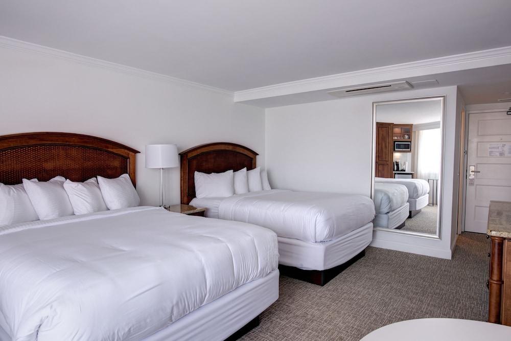 ICONA Avalon photo 41