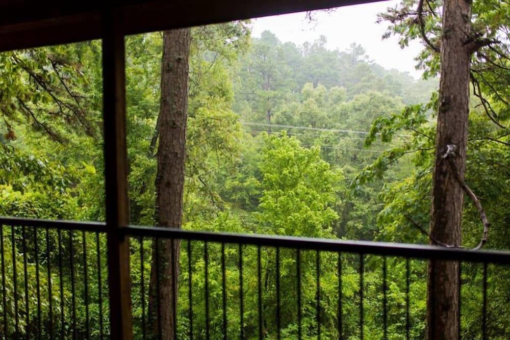 The Razorback Lodge photo 23