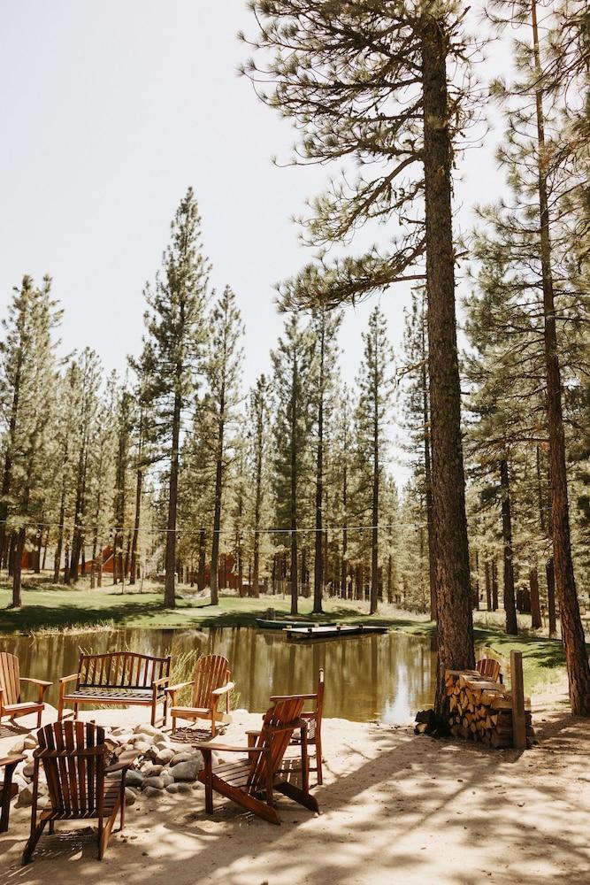 Chalet View Lodge photo 15