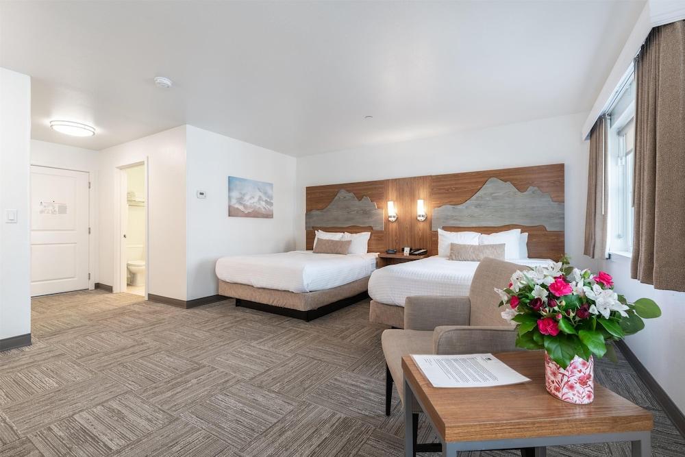 Marshall Suites Bainbridge Island, SureStay Collection by BW photo 6
